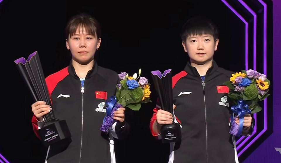 AA, 量模仿平野 AA, 量模仿平野