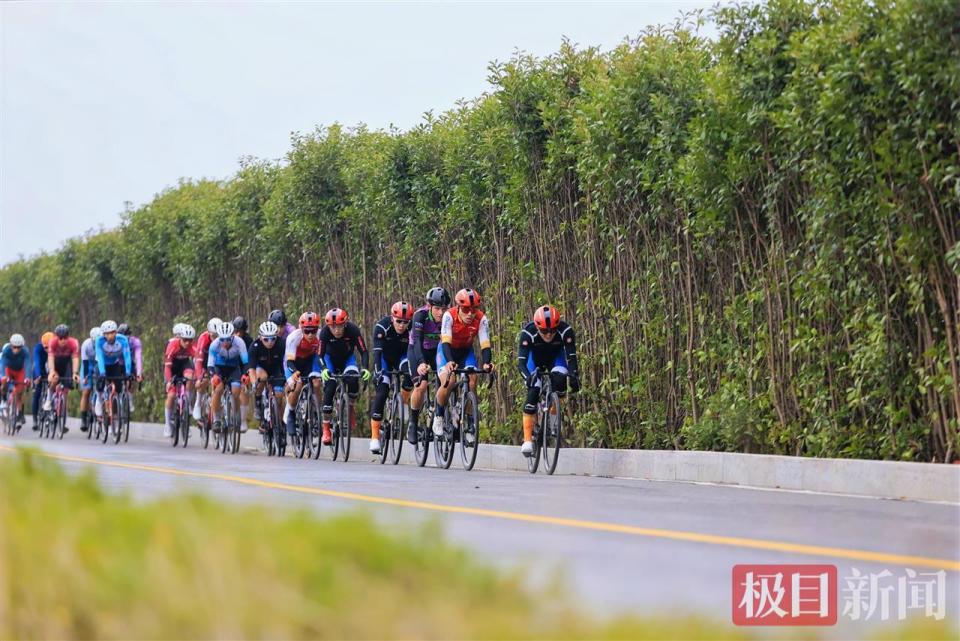 城市绕圈挑, 公路自行车, om 城市绕圈挑, 公路自行车, om