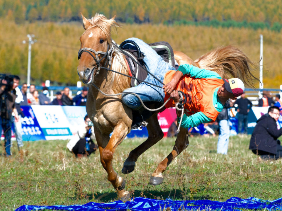 一场以生态, 锡林郭勒, 之路