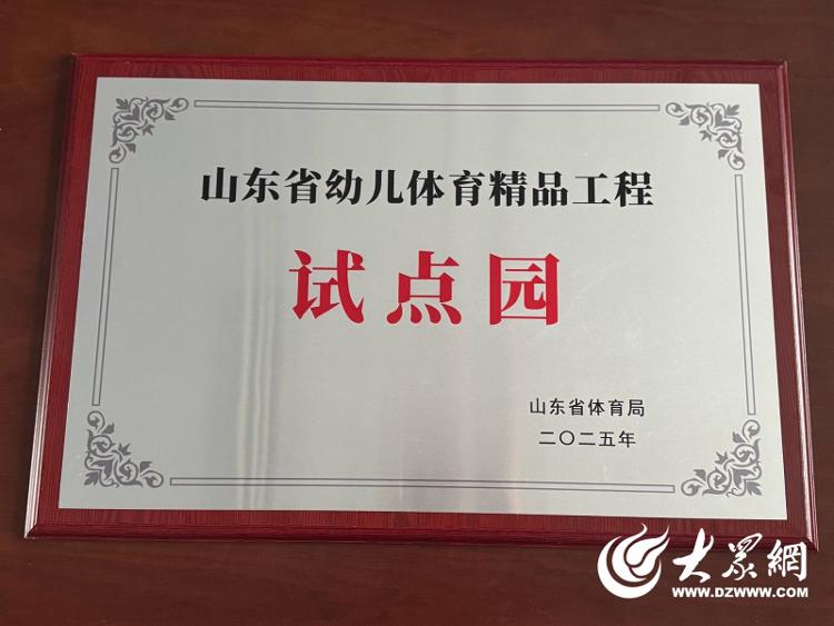 幼儿体育精, 色项目, 无论是手球